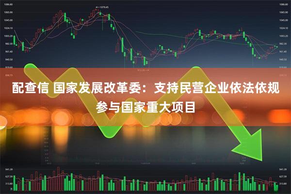 配查信 国家发展改革委：支持民营企业依法依规参与国家重大项目